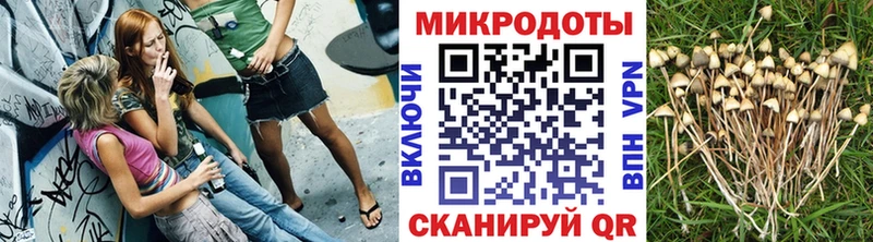 что такое   Советская Гавань  МЕГА вход  Галлюциногенные грибы мухоморы 