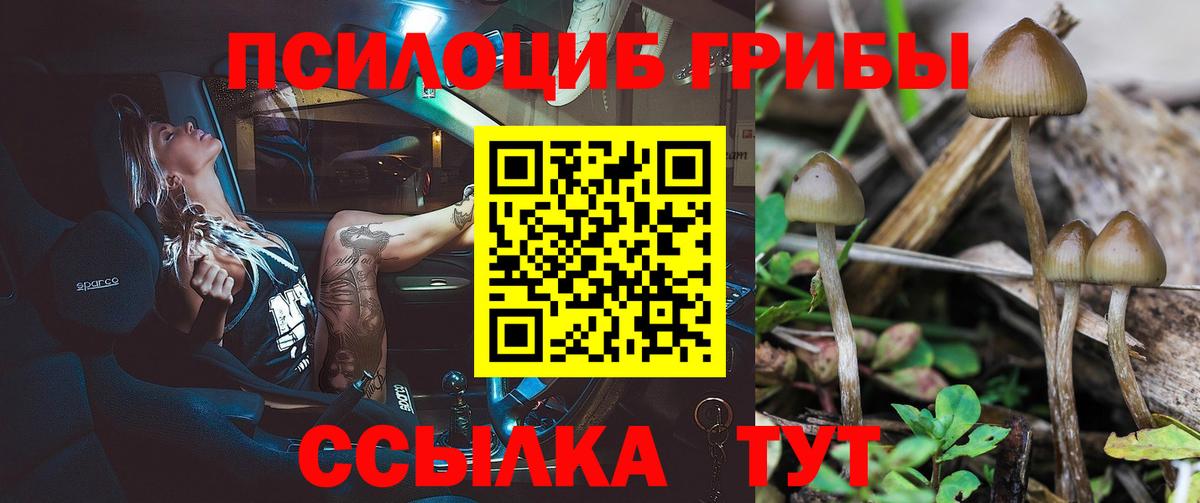 Галлюциногенные грибы Magic Shrooms Советская Гавань