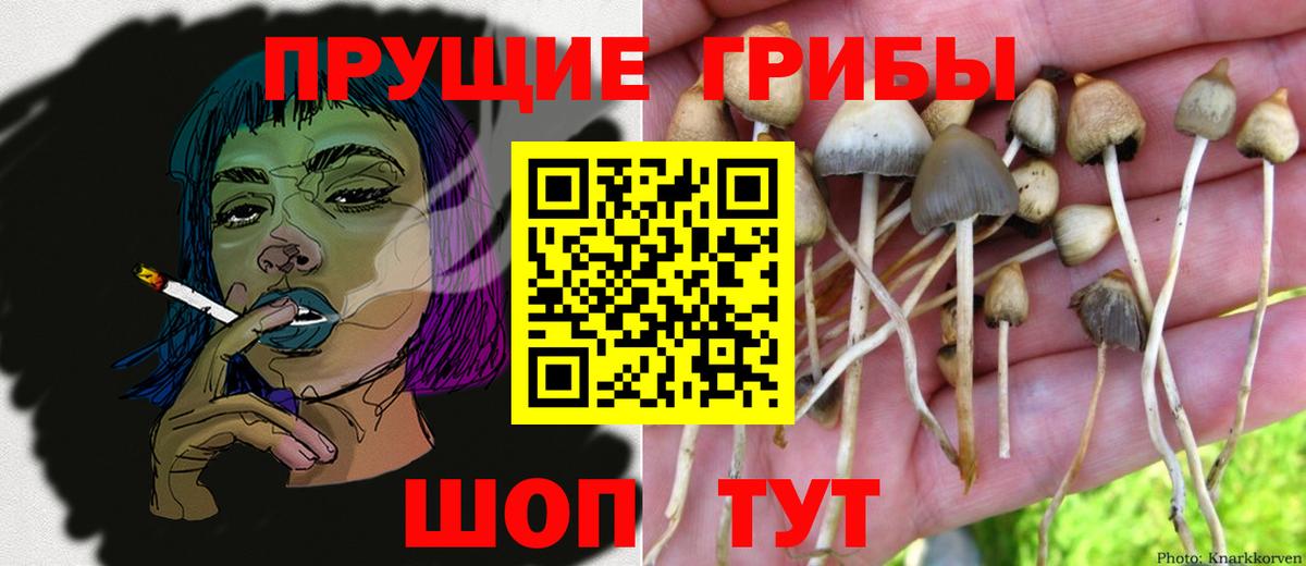 Советская Гавань  Галлюциногенные грибы Magic Shrooms  Вход с VPN 