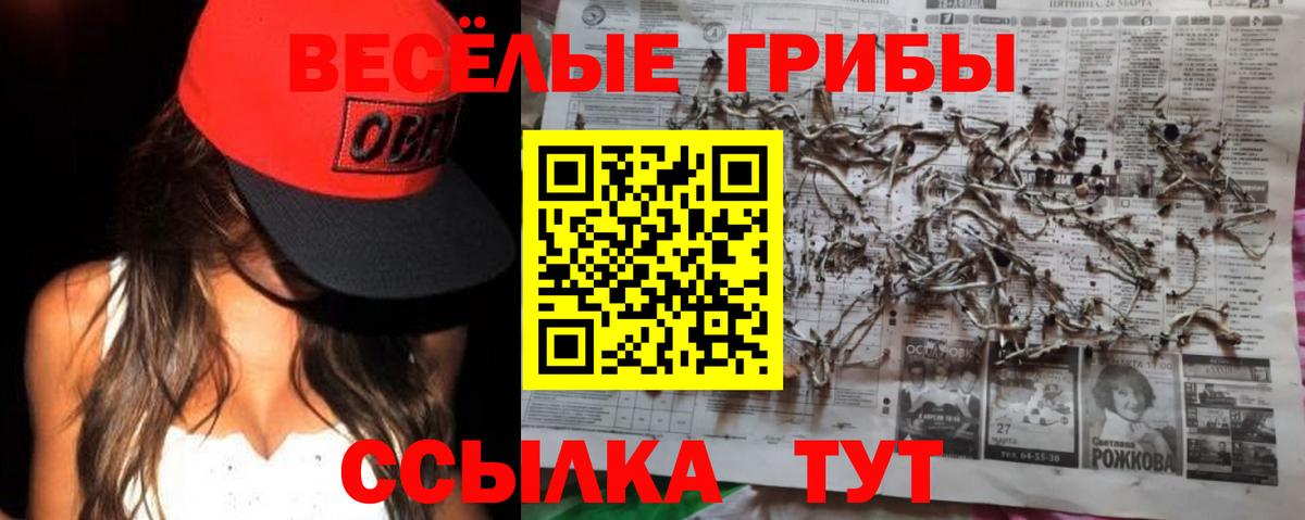 Псилоцибиновые грибы ЛСД  Псилоцибиновые грибы Cubensis  Вход с VPN  Советская Гавань 