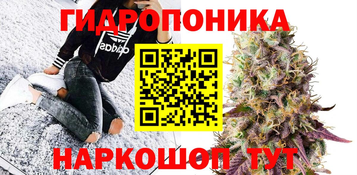 Бошки Шишки семена Советская Гавань