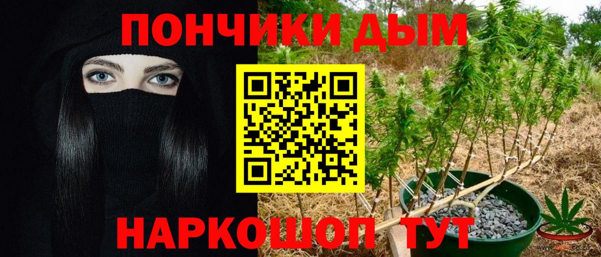Конопля сатива  Бошки Шишки THC 21%  Советская Гавань  Вход с VPN 